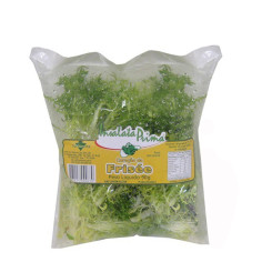 Alface Frisée Mini INSALATA PRIMA 90g 