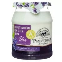 Iogurte com Geleia de Uva Integral FAZENDA TREVISAN 170g