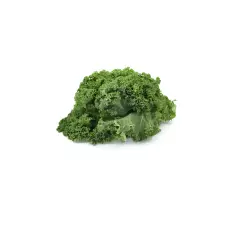 Couve Kale Verde Orgânico NUTRIENS 150g