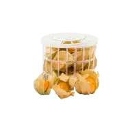 PHYSALIS 100G POT FULL